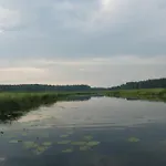 Swierkowy Zakatek Rekownica