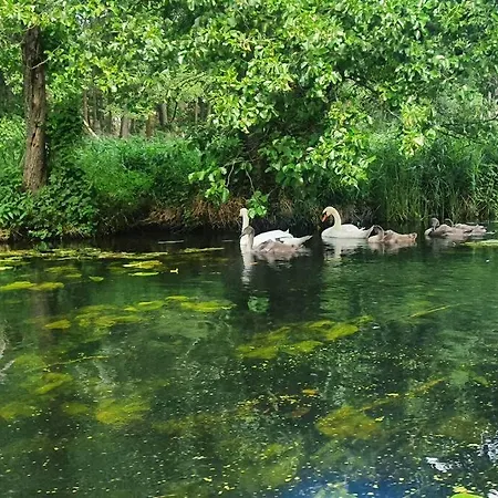 Swierkowy Zakatek * Rekownica